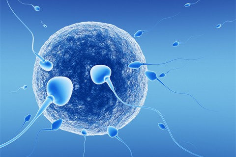 http://nantong.quanwangkm.com/post/218.html|南通新闻中心